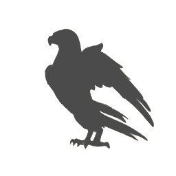 Golden Eagle Combat Squad