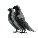 The Ebon Hawks