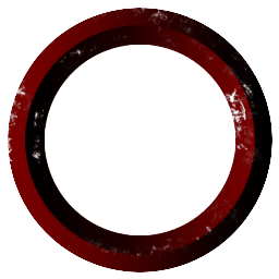 Experiment 2009