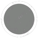 Nuclear Halo