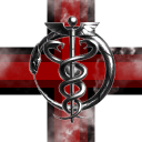 COBRA INC