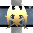 Imperial Caldari Guardians