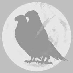 The Shadow of the Eagle in the Dark