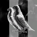 Blood Crows