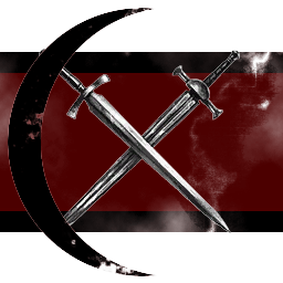 Section9 logo