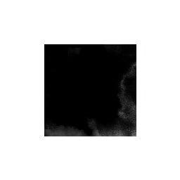 Imperial Romulan Navy