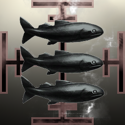 Because we have Fish