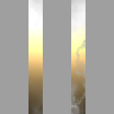 Gemini Inc