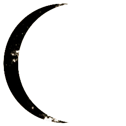 Elysium Research