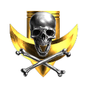 225th amarr