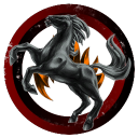 71st Light Horse