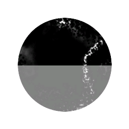 R.U.N.
