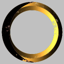 Shadow Holding's INC