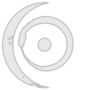 Discordia Labs