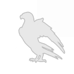 The Lawhawks of Disgruntled Rage