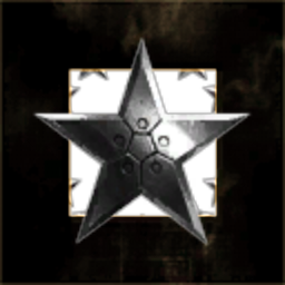 Sword and Shield Co.
