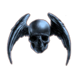 Skulls u. Bones