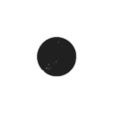 The Positron