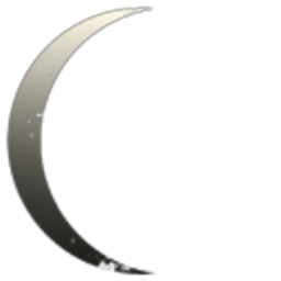 Black Light Revolution