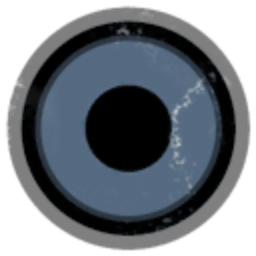 Gravitational Singularity Services