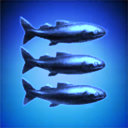 Symphysodon Holdings