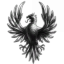 Order of Black Phoenix