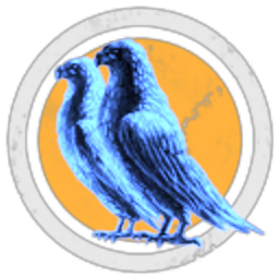 Stardust's Winged Bird