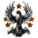 135th Flying Vikings