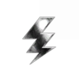 Platinum Corporation