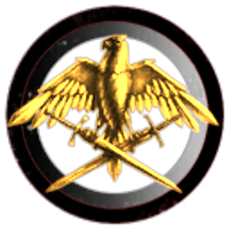 Non-military corporation two pilots