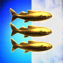 3 GoldFish