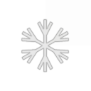 Arctic Enterprises