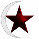 Turkish Security Asistance Force