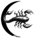 GinNenCo