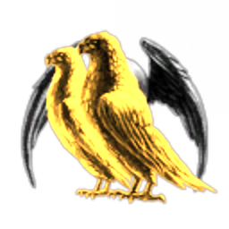 NICCO1 logo