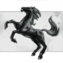 Sangue Lusitano