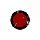 Z01