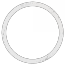 The Comet Society