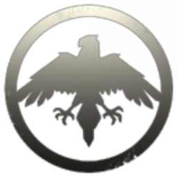 Black Eagles Fleet