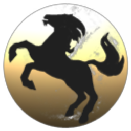Solar Wind Riders