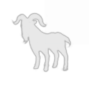 Domestic Goat Investments