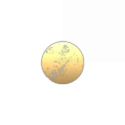 Interstellares Kartoffelkombinat