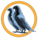 Fly Guild