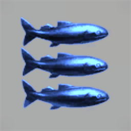 Ill Tempered Sea Trout