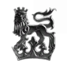Dragonscale Inc