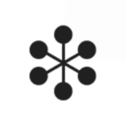Dynamic Synergies Inc