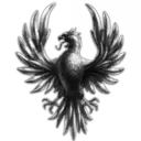 Skyhawks Academy