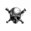 Skull and Bounties