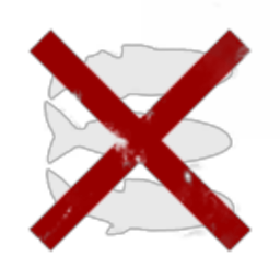 I Will Not Shoot You