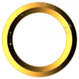 Chinese Bagel Society